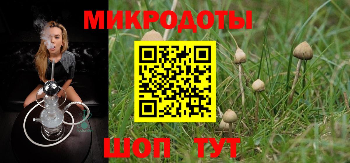 Армавир  Галлюциногенные грибы MAGIC MUSHROOMS  как найти закладки  Вход с VPN 