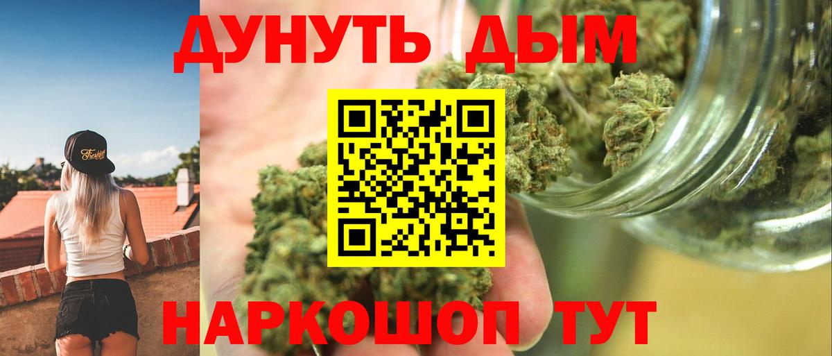 Канабис сатива Армавир